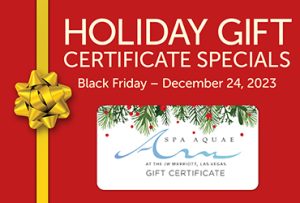 Holiday Gift Certificate Special - Black Friday - December 24, 2023
