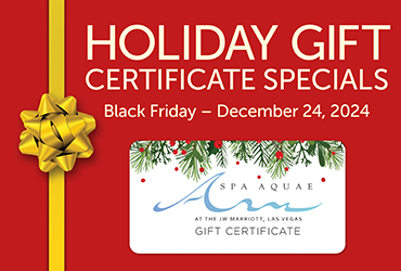 Spa Aquae Holiday Gift Certificate Promotion